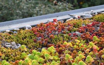 the cost of Winter Well green roof installation
